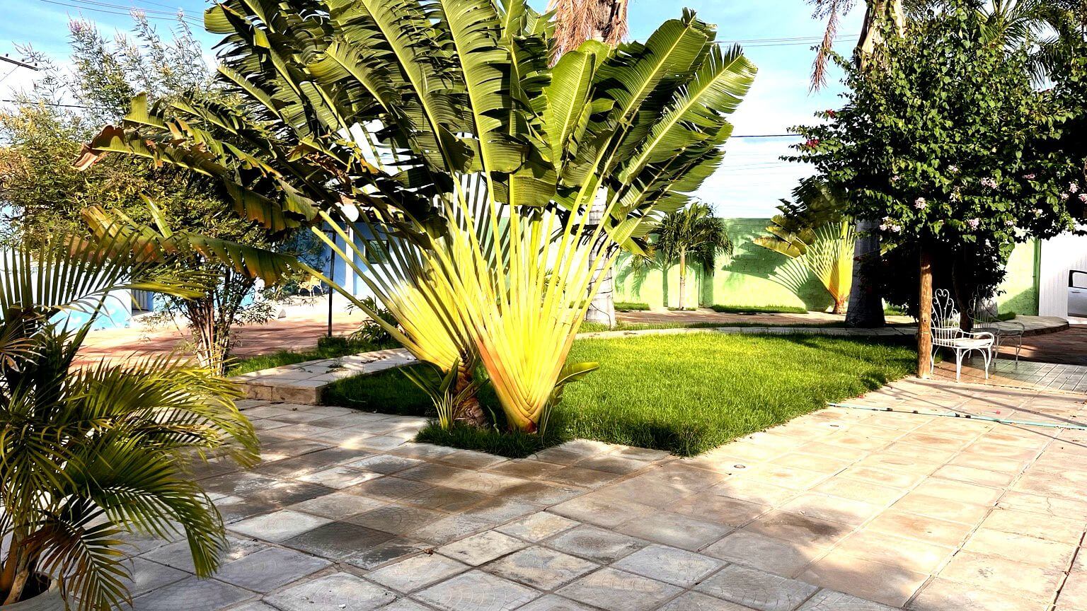 Jardim central